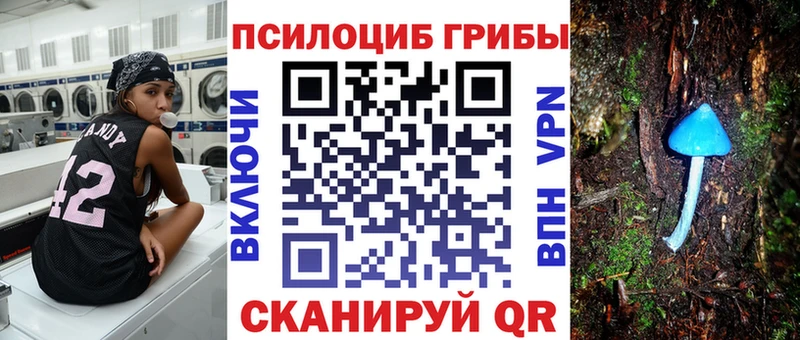 наркошоп  Пятигорск  Галлюциногенные грибы Cubensis 